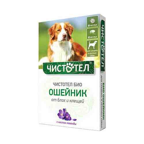 Ошейник Чистотел для средних и крупных собак с лавандой от блох и клещей 65 см