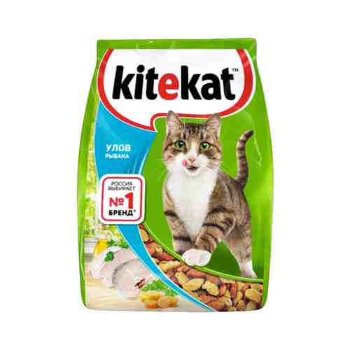 Сухой корм Kitekat Улов рыбака с рыбой для кошек 350 г