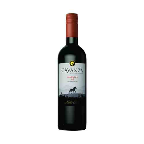 Вино Cavanza Carmenere красное сухое 13% 0,75 л