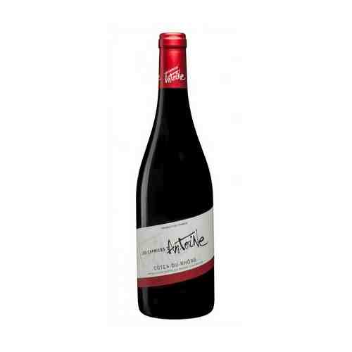 Вино Les Caprices d'Antoine Cotes du Rhone красное сухое 13% 1,5 л