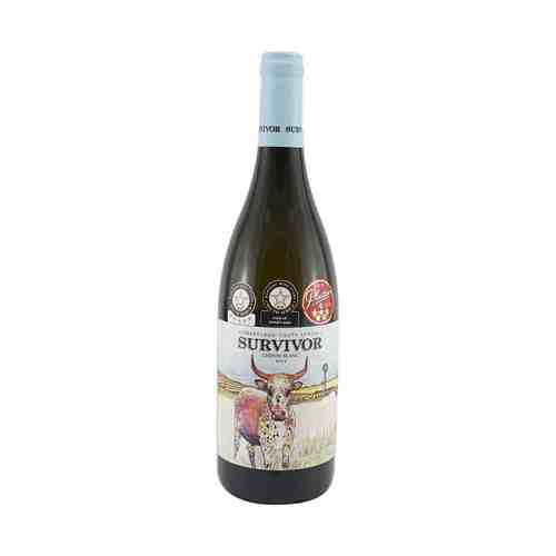 Вино Survivor Chenin Blanc белое сухое 13,5% 0,75 л