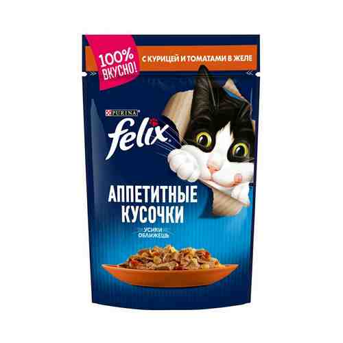 Влажный корм Felix Аппетитные кусочки для взрослых кошек с курицей и томатами в желе 85 г